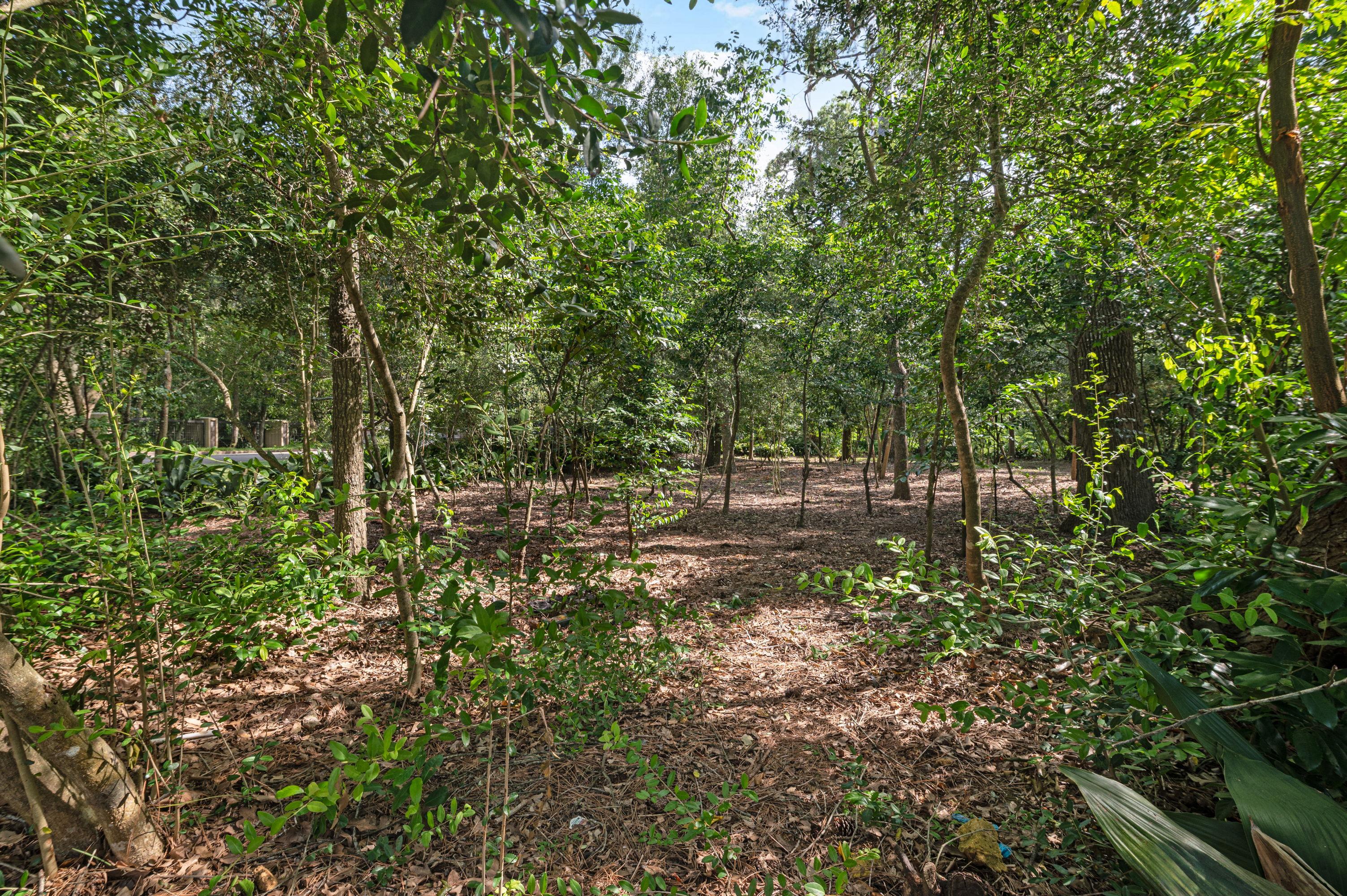 11685 Arrowwood Cir — waterfront estate lot, view 19